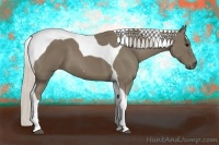Horse Color:Silver Smoky Black Tobiano 