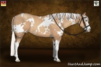 Horse Color:White Spotted Silver Classic Champagne Splash 