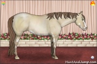 Horse Color:Grullo Pearl Sabino Splash Frame Rabicano