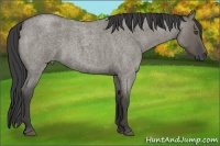 Horse Color:Smoky Grullo Roan 