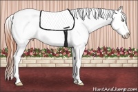 Horse Color:Classic Champagne Roan Dun Blanket 