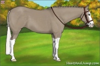Horse Color:Silver Grullo Splash