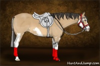 Horse Color:Buckskin Roan Splash Frame 