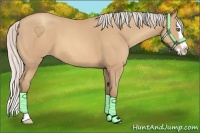 Horse Color:Silver Amber Champagne Roan Splash 