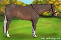 Horse Color:Silver Black Sabino