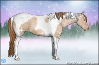 Horse Color:Bay Ice Pearl Tobiano 