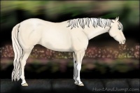 Horse Color:Gold Cream Champagne Pearl Tobiano 