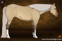 Horse Color:Silver Bay Dun Frame 