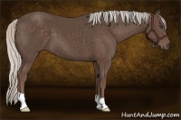 Horse Color:Silver Black 