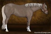 Horse Color:Silver Black 