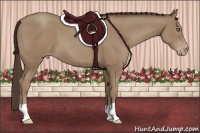 Horse Color:Classic Champagne 