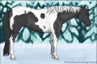 Horse Color:Smoky Black Tobiano 