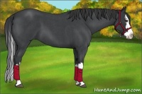 Horse Color:Blue Roan Splash 