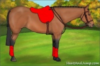 Horse Color:Bay Sabino 