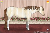 Horse Color:White Spotted Bay Ice Pearl Dun