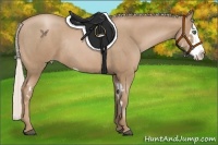 Horse Color:Silver Black Pearl Splash Frame Rabicano  Brindle