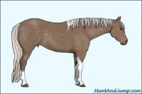 Horse Color:Silver Black Sabino Tobiano 