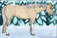 Horse Color:Silver Buckskin Roan Dun Tobiano