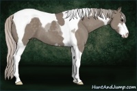 Horse Color:Silver Grullo Sabino Tobiano