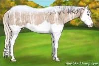 Horse Color:Silver Black Ice Pearl Splash Brindle