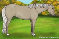 Horse Color:Silver Smoky Grullo Roan 