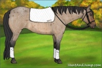 Horse Color:Bay Roan Dun 