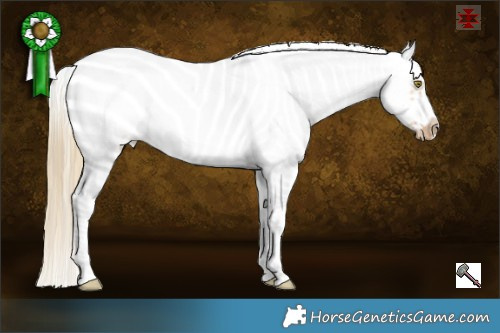 Horse Color:Red Dun Pearl Sabino Splash Frame Rabicano 