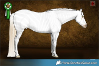 Horse Color:Red Dun Pearl Sabino Splash Frame Rabicano