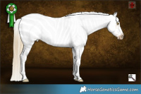 Horse Color:Red Dun Pearl Sabino Splash Frame Rabicano 