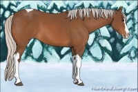Horse Color:Silver Bay Splash Tobiano 