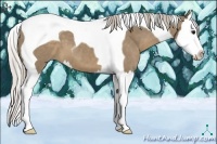 Horse Color:Silver Grullo Splash Tobiano