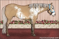 Horse Color:White Spotted Silver Bay Dun Splash Frame