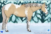 Horse Color:White Spotted Silver Bay Dun Splash Tobiano 