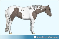 Horse Color:Silver Black Tobiano 