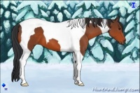 Horse Color:Bay Tobiano 