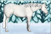 Horse Color:Silver Perlino Tobiano