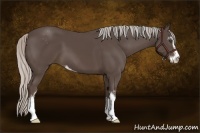 Horse Color:Silver Black Sabino 