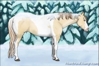 Horse Color:Red Dun Pearl Splash Tobiano Rabicano 