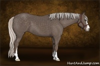 Horse Color:Silver Black Sabino 
