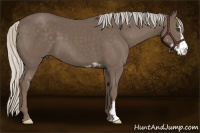 Horse Color:Silver Black Sabino Frame