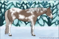 Horse Color:White Spotted Silver Black Tobiano Frame