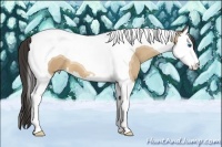 Horse Color:Amber Cream Champagne Splash Tobiano 