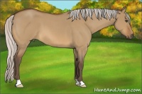 Horse Color:Silver Bay Roan Dun 