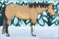 Horse Color:Buckskin Sabino Tobiano