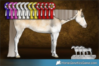Horse Color:White Spotted Sable Cream Champagne Splash 