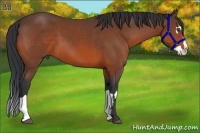 Horse Color:Bay Splash Frame 