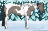 Horse Color:Grullo Roan Tobiano 