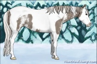 Horse Color:White Spotted Silver Grullo Splash Tobiano 