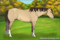 Horse Color:Amber Champagne Dun 