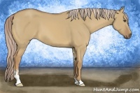 Horse Color:Palomino Dun Sabino